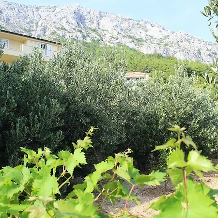 Apartament Vera *