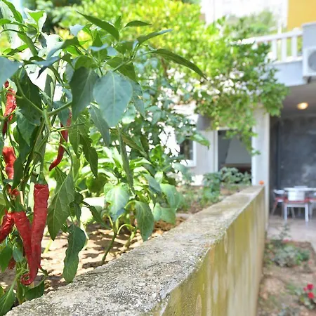 Vera Apartament