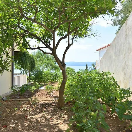 Apartament Vera