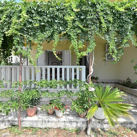 Vera Apartament Mimice